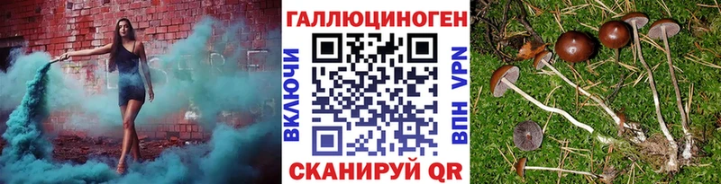 Псилоцибиновые грибы прущие грибы  где купить   Ялуторовск 