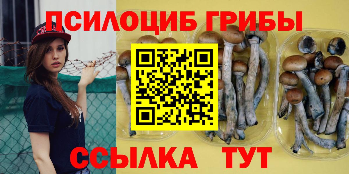 Галлюциногенные грибы Psilocybine cubensis Ялуторовск
