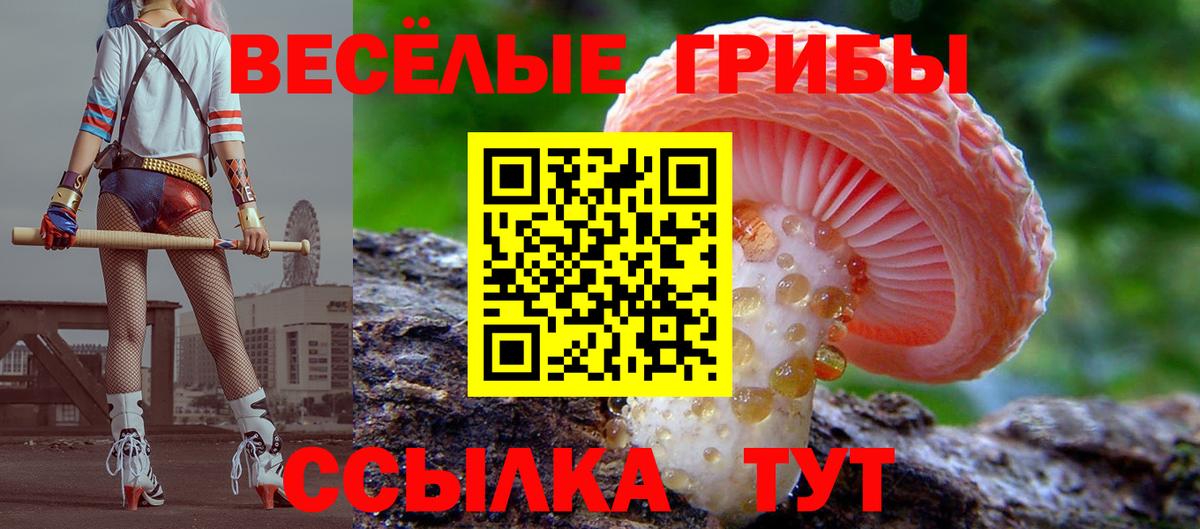 Ялуторовск  Галлюциногенные грибы прущие грибы  Вход с VPN  Псилоцибиновые грибы мицелий 